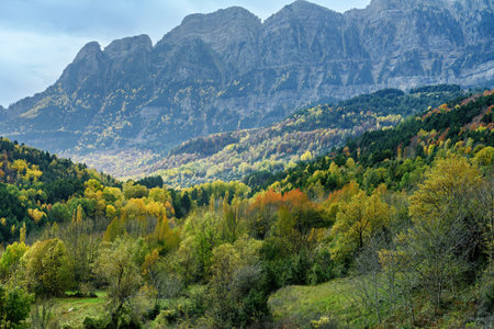 A dramatic view of a snow-dusted mountain peak surrounded by vibrant autumn foliage and a striking cloudy sky.の写真素材
