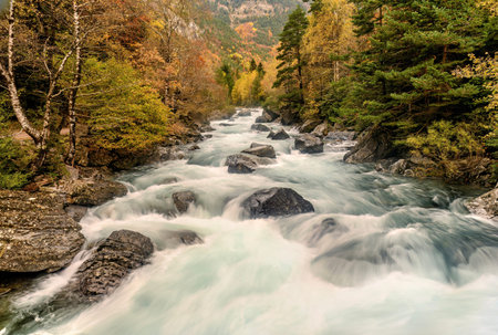 Ara River through the Bujariego Valley, in the Ordesa National Park in the Aragonese Pyrenees.