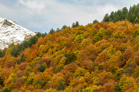 A stunning landscape of the Pineta Valley, showcasing colorful autumn foliage against a backdrop of rugged snow-capped peaks.の写真素材