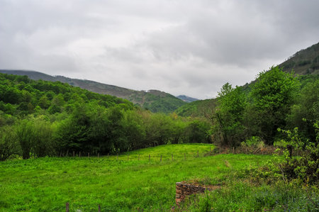 A sweeping view of a lush, green valley in Cantabria, with rolling hills and a diverse tapestry of trees under a cloudy skyの写真素材