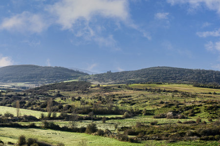 Panoramic view of mountains, green fields, and distant snow-capped peaks under a bright blue sky.