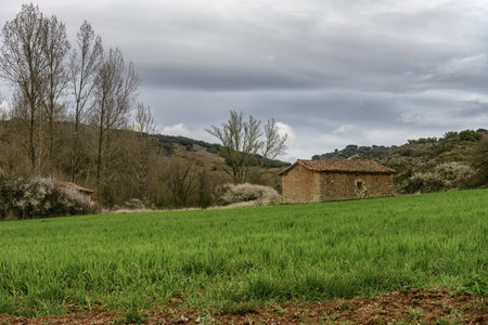 Abandoned stone house with tiled roof in a green field under cloudy skies in Palencia, Spain.の写真素材