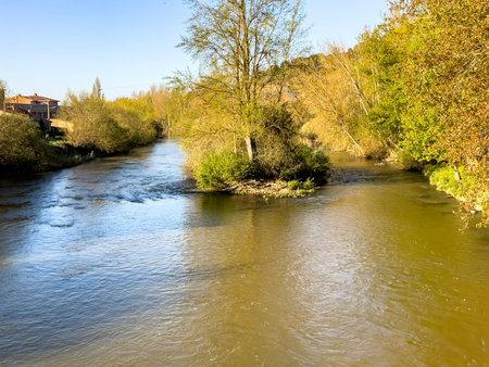 Scenic view of the Pisuerga River with green foliage and calm waters in Palencia, Spainの写真素材
