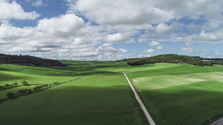 Open countryside in Palencia with cultivated green fields, trees and a winding road under clouds