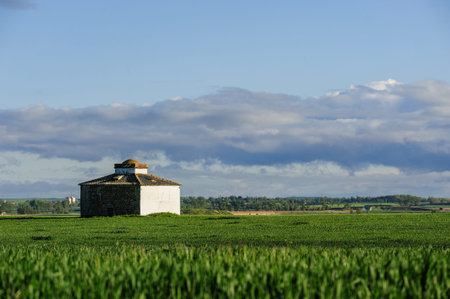 A typical Palencian dovecote with a tiled roof and ocher clay walls sits in a green field near...
