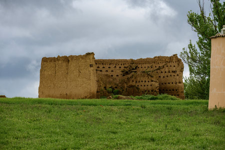 Rustic adobe dovecote standing in a lush green field under a cloudy and overcast skyの写真素材