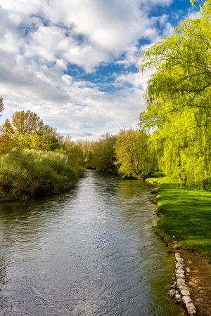 Serene view of the Carrion River with overhanging willow trees and a sunlit grassy riverbank in Carrion de los Condes, Spainの写真素材