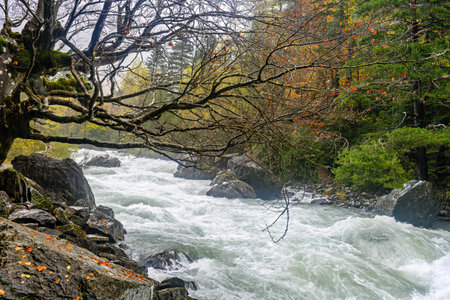 Ara River through the Bujariego Valley, in the Ordesa National Park in the Aragonese Pyrenees.