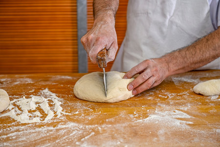 Baker kneading artisan bread in the bakery
