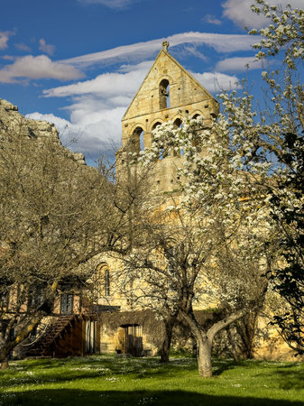 Historic bell tower and monastery wall with climbing ivy under a bright sky in northern Spain