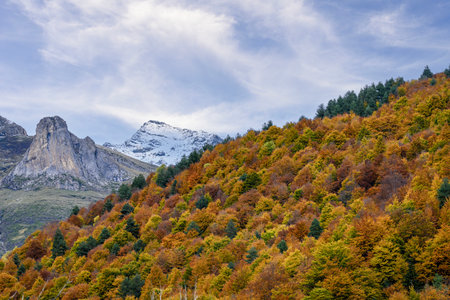 A stunning landscape of the Pineta Valley, showcasing colorful autumn foliage against a backdrop of rugged snow-capped peaks and cascading waterfalls.の写真素材