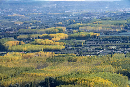 Scenic view of Fonelas village nestled among poplar plantations and farmland in Granada