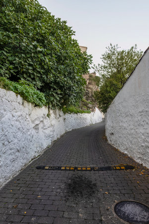 Whitewashed alleyway with greenery in a Spanish villageの写真素材