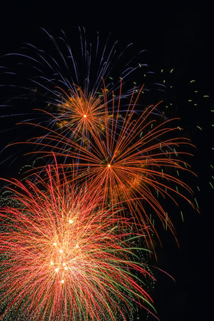 Colorful fireworks exploded in the night sky