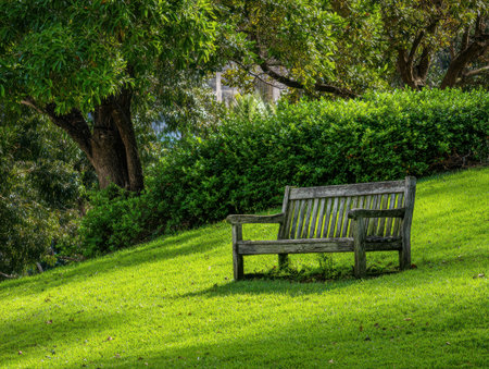 Old wooden bench in quiet park setting beneath trees and greeneryの素材