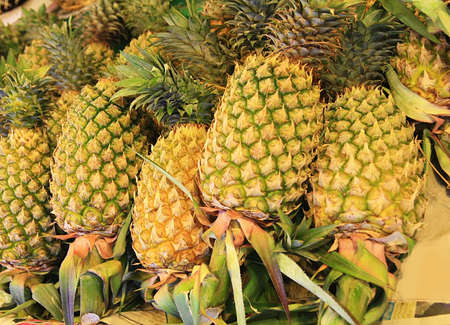 pineapple  textureの写真素材