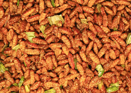 silkworm fried with thai herbの写真素材