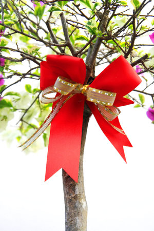 Red bow and stick background