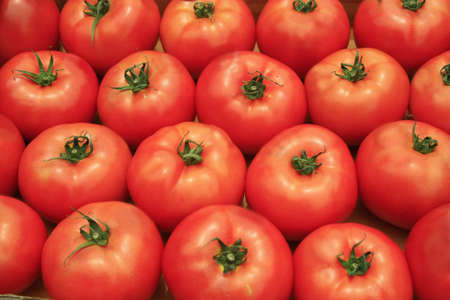Tomato background の写真素材