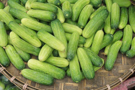 Cucumber in basket の写真素材
