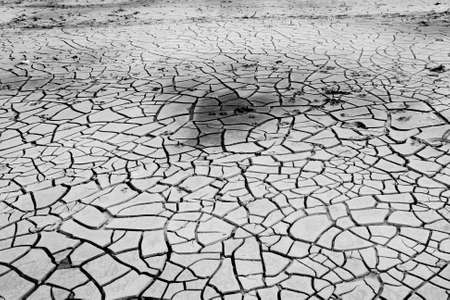 cracked soil in river の写真素材
