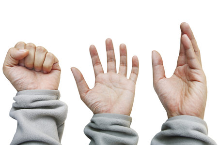hands 