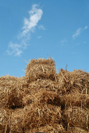 straw stack and blue sky 