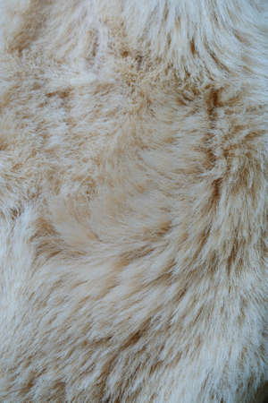 wool backgroundの写真素材