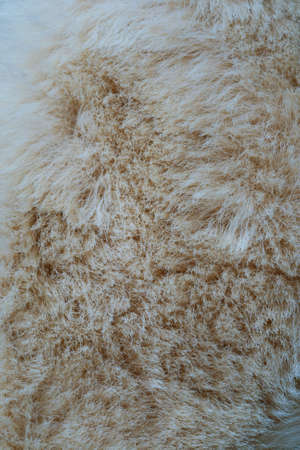 wool backgroundの写真素材