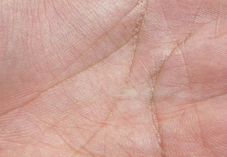 hand texture の写真素材