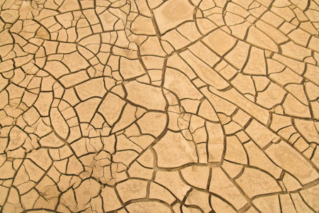 cracked soil in the desert 