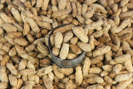 Peanuts in can, Thailand market 