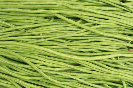 Long green beans background の写真素材