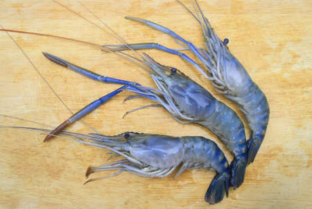 Three shrimps on wood の写真素材