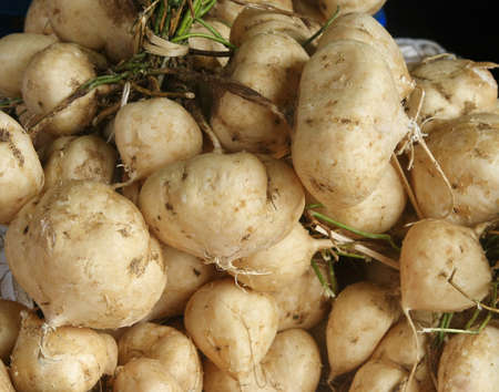 Yam, Thailand の写真素材