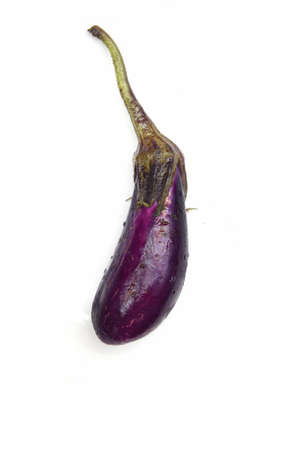 Eggplant の写真素材