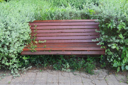 wooden bench in park の写真素材