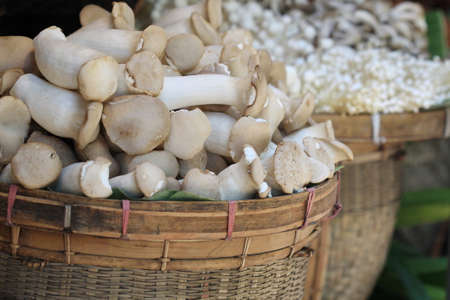 close up mushroom in basket の写真素材