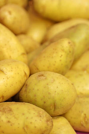 close up fresh potato in market の写真素材