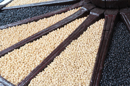 close up mix soybean background, food