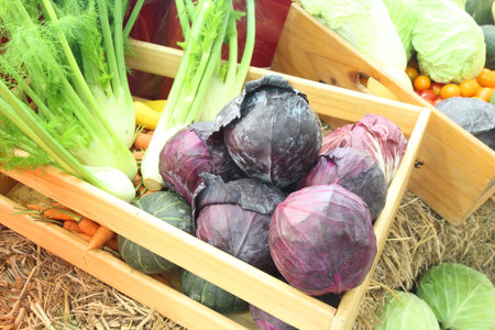 close up mixed fresh fruit and vegetable
