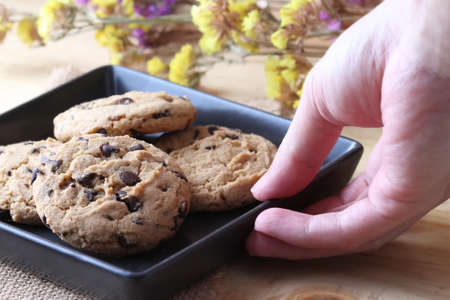 Homemade Double Chocolate Chip Cookies in plateの写真素材
