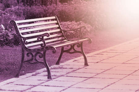 steel bench in park with sunrise, vintage toneの写真素材