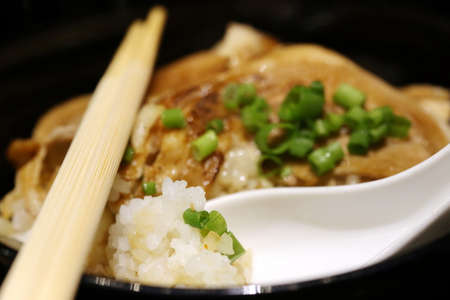 Grilled pork with rice, Traditional Japanese foodの写真素材