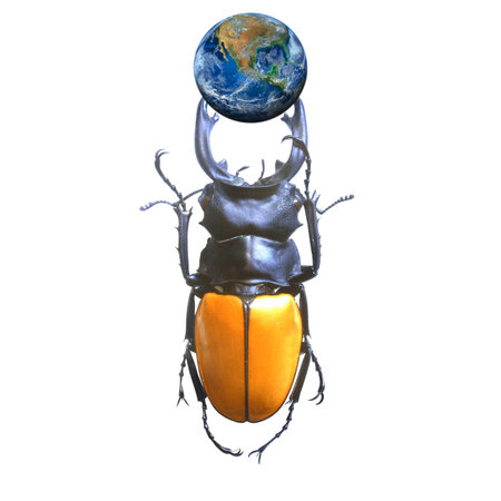 The earth with beetle