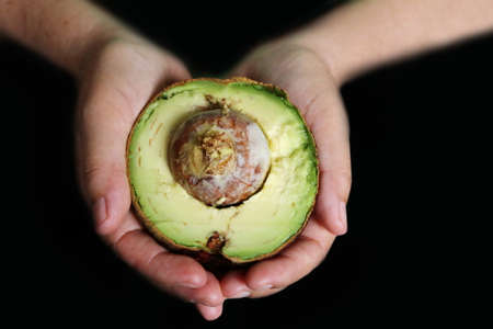 hand hold fresh avocado fruitの写真素材