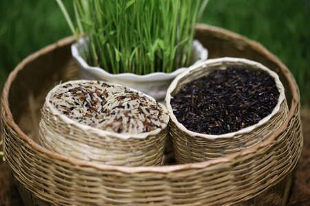 brown rice berry in basketの写真素材