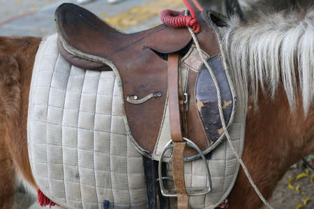 closeup horse saddle in positionの写真素材