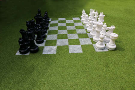 Chessboard and chess pieces on the grass in the gardenの写真素材