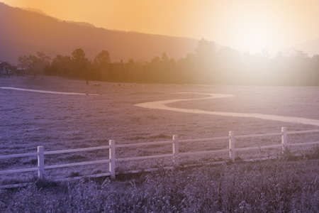 road in farmland, retro color tone backgroundの写真素材